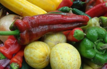 Whynota’s Vegan Street Food