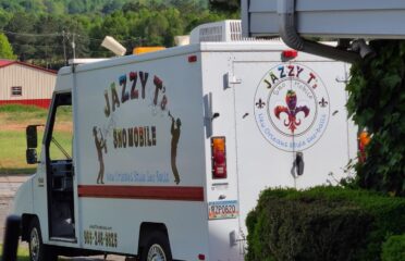 Jazzy T Sno Mobile